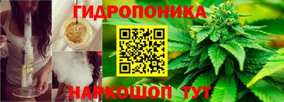 кокс Гусиноозёрск