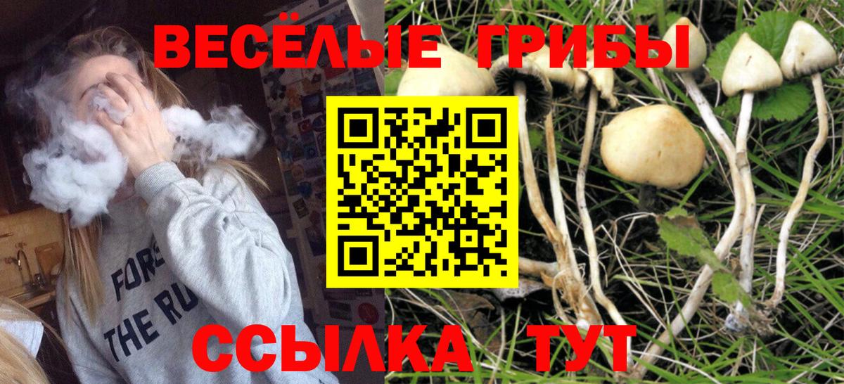 МЕФ Новоалександровск