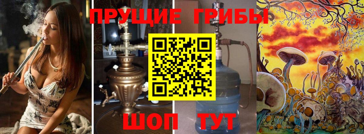 Галлюциногенные грибы MAGIC MUSHROOMS Новоалександровск